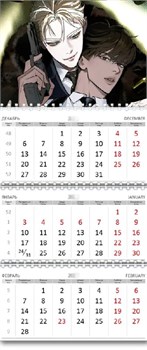 Календарь квартальный "Кодовое имя Анастасия" 2026 год 15947